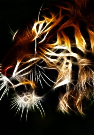Огненный тигр обои