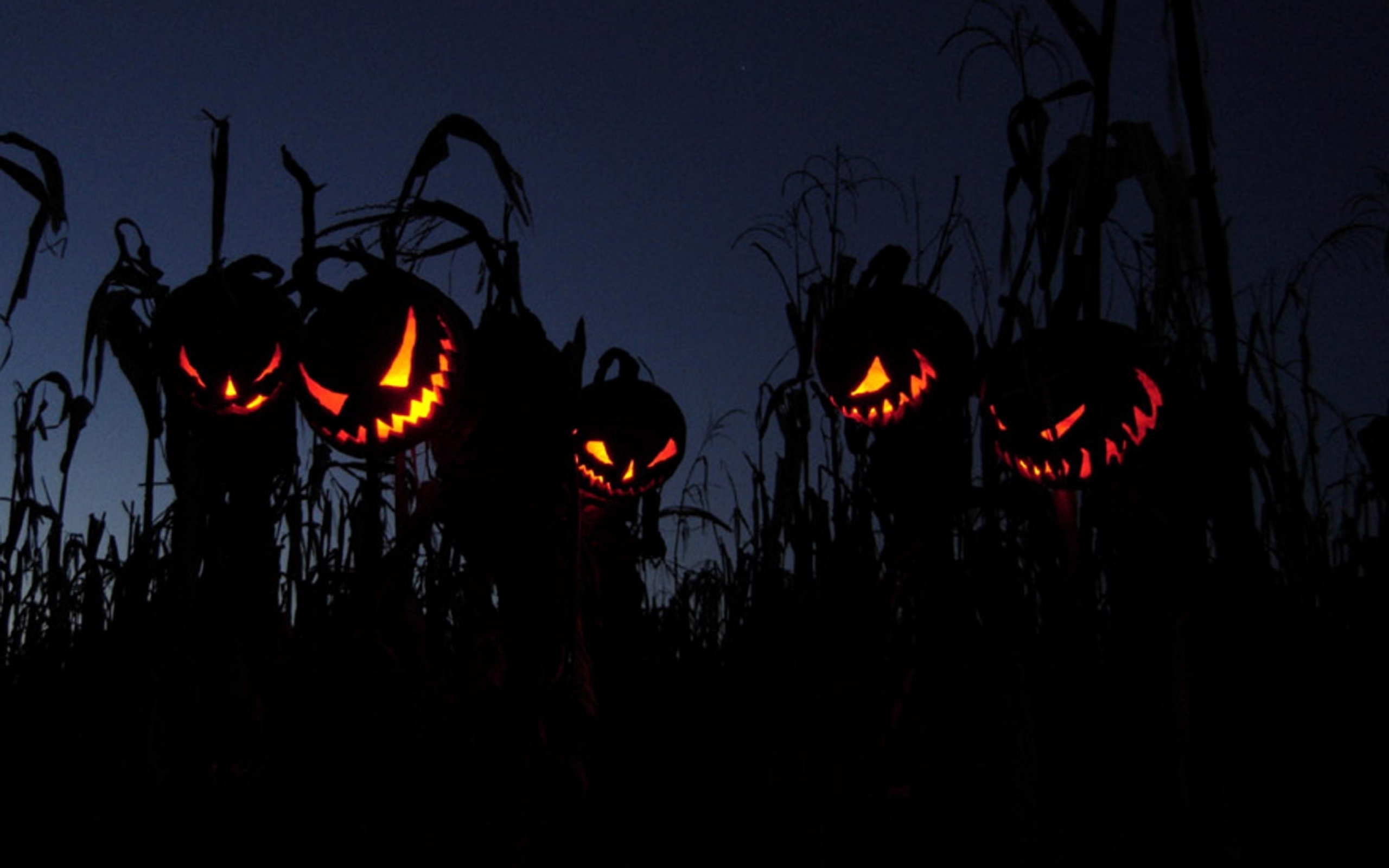 Scary halloween. Хэллоуин обои. Обои на телефон Хэллоуин.