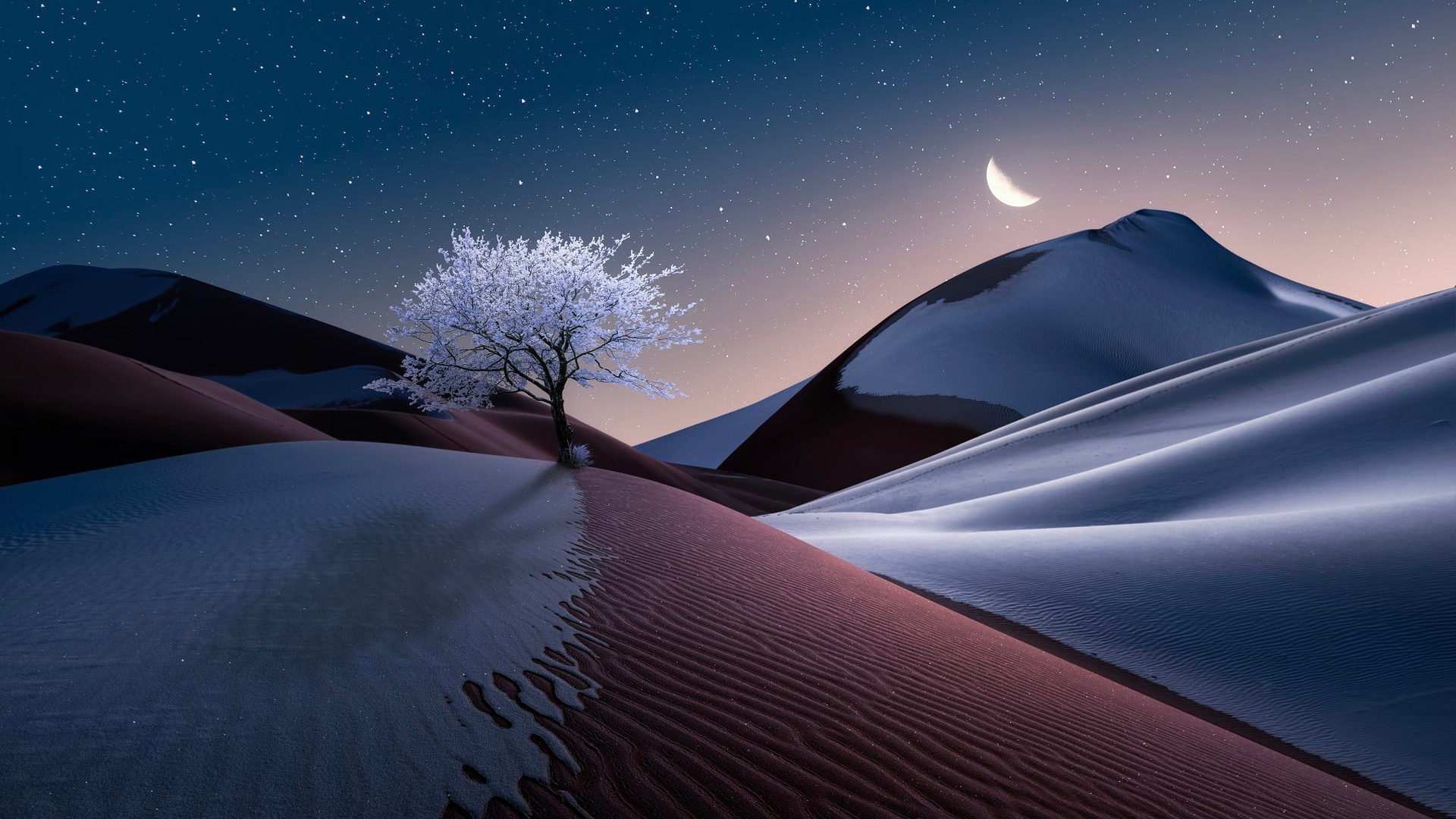 Пустыня ночью арт
