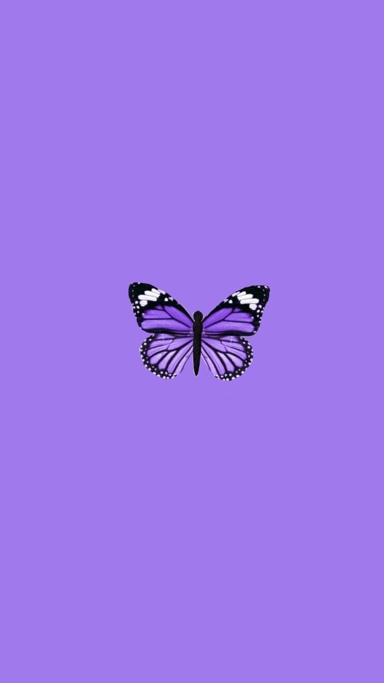 Фиолетовые бабочки Эстетика