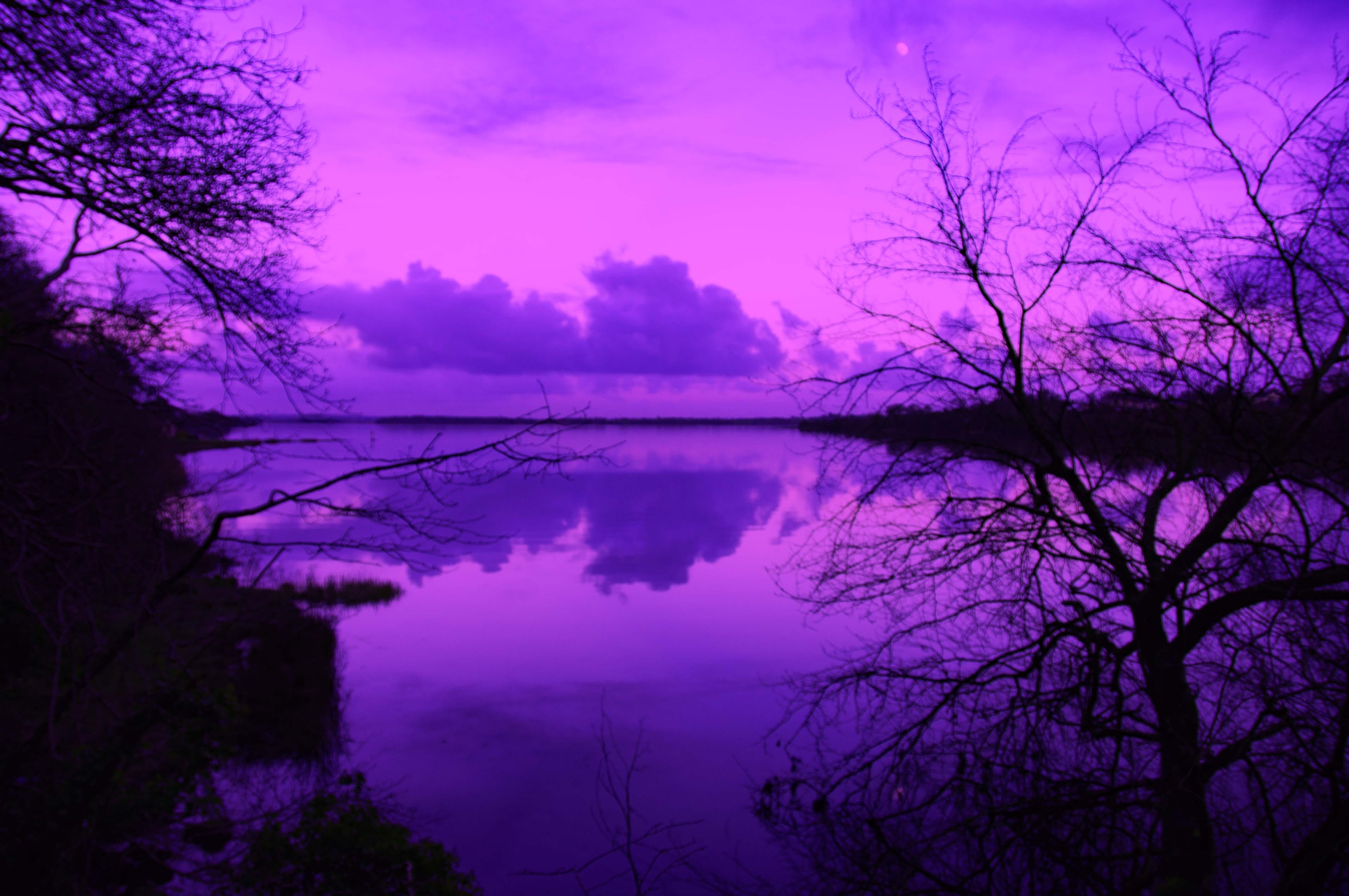 Картинки фиолетового цвета на обои