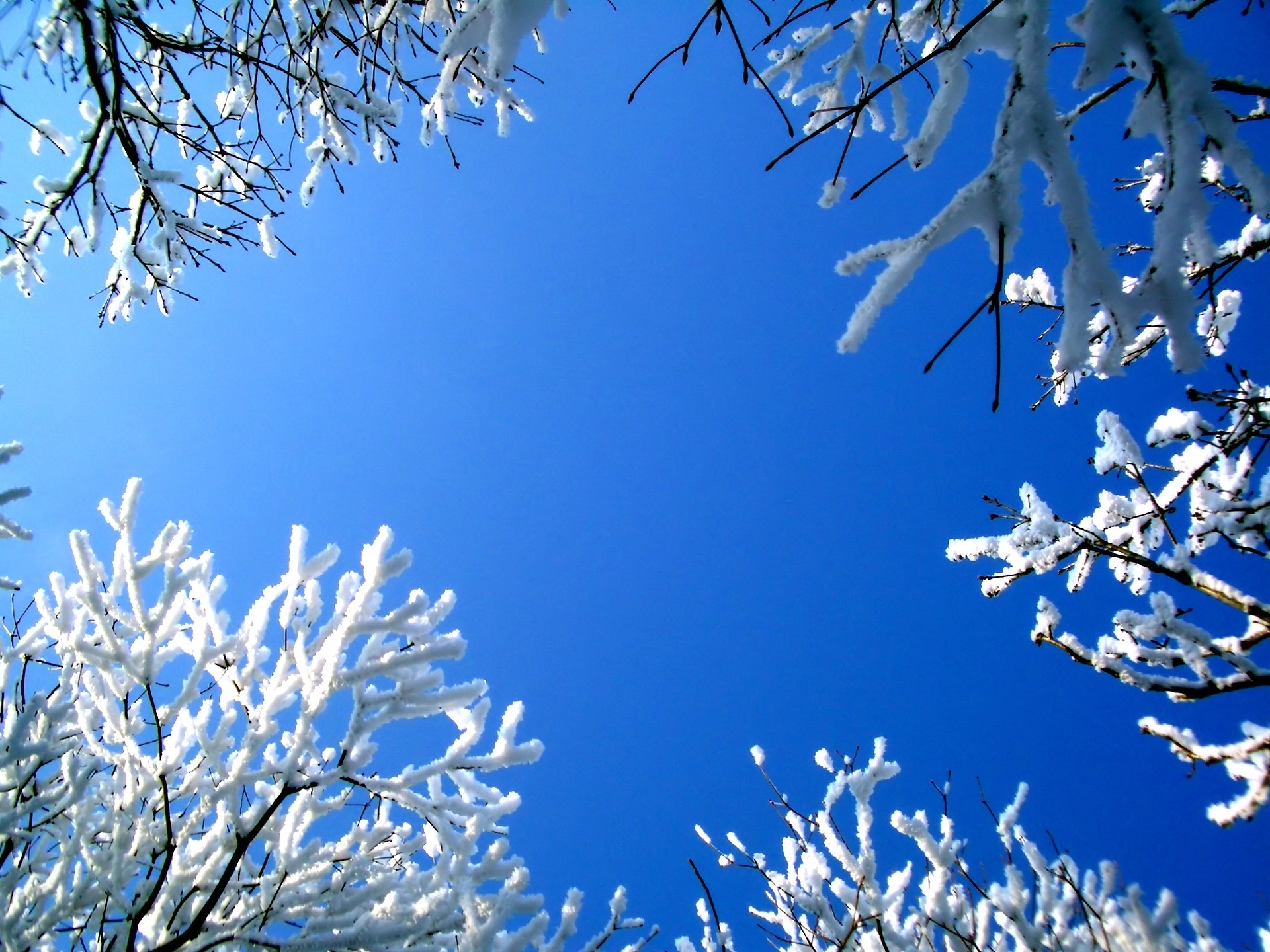 Красивая природа февраль. Красивая зима. Зимние картинки. Фон для рабочего стола зима. Природа зима.