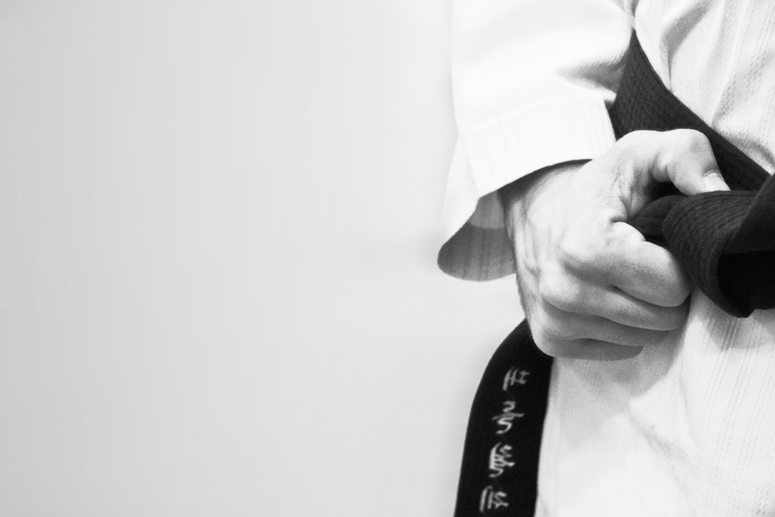 Kyokushinkai Karate вектор