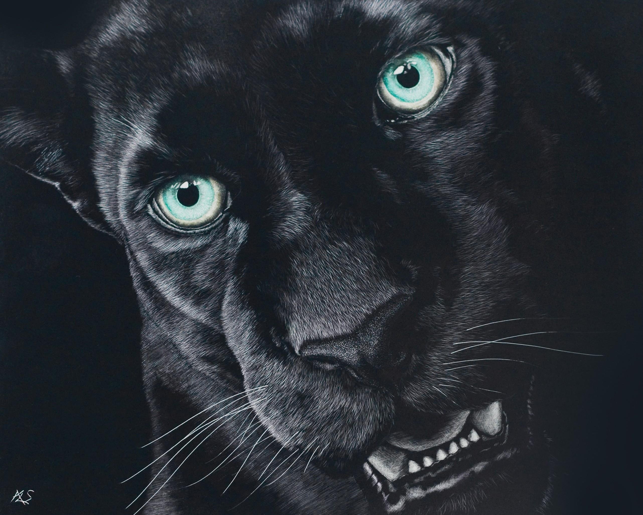 Черная ава на телефон. Пантера меланист. Пантера Шварцера» (2014; черная пантера ). Пантера на черном фоне. Пантера картинки на телефон.