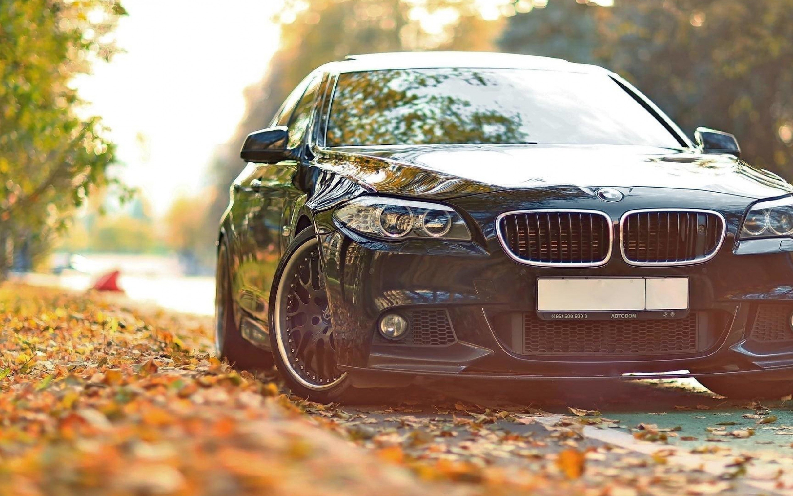 bmw f10