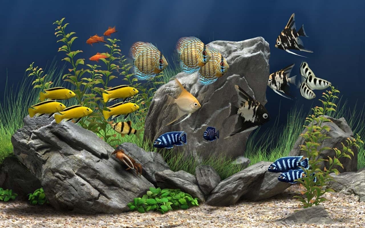 Скринсейвер Dream Aquarium