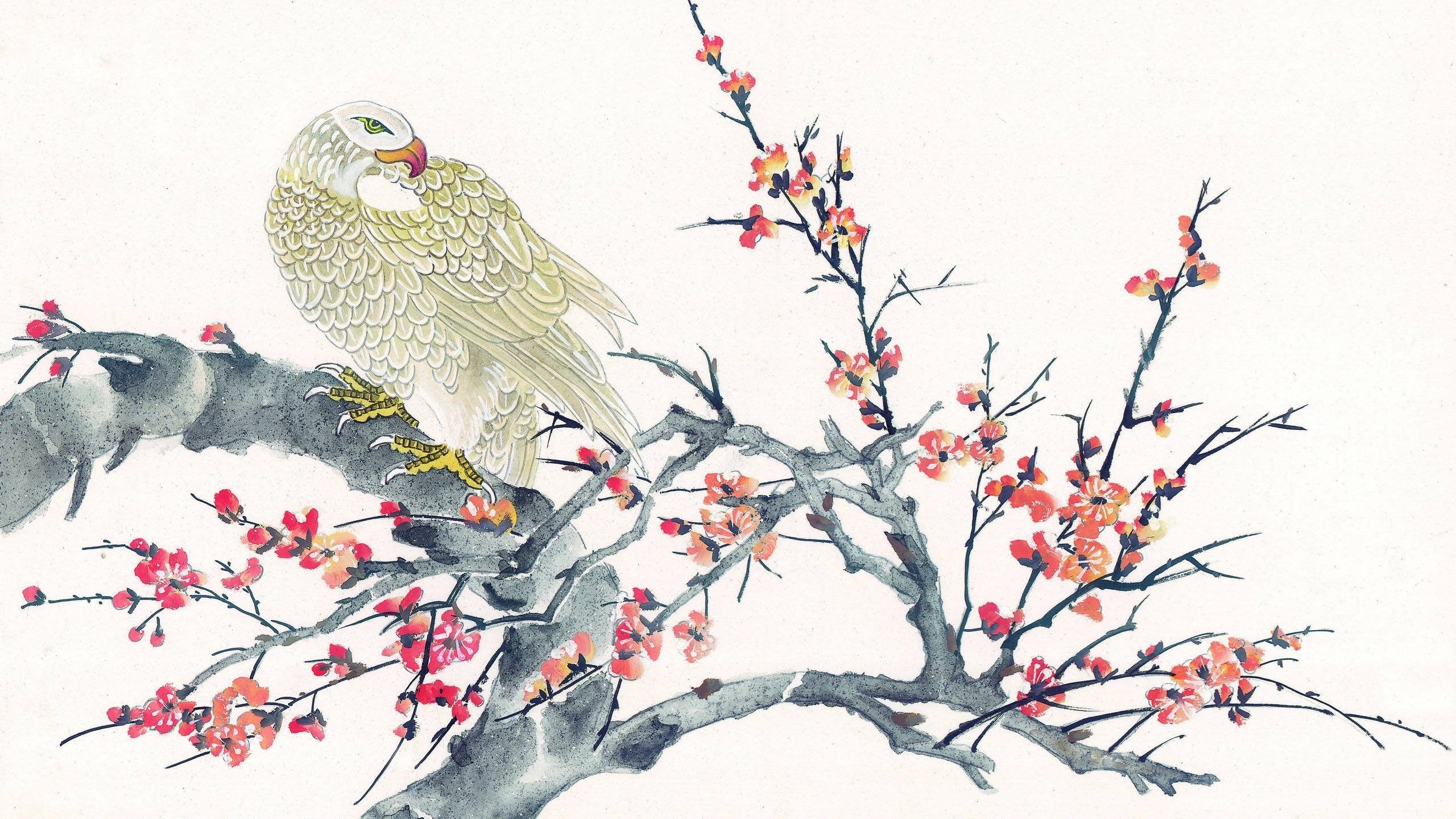 16 птичек на китайском. Чжэнь-Няо птица. Китайская живопись. Китайские мотивы в живописи. Японская живопись.