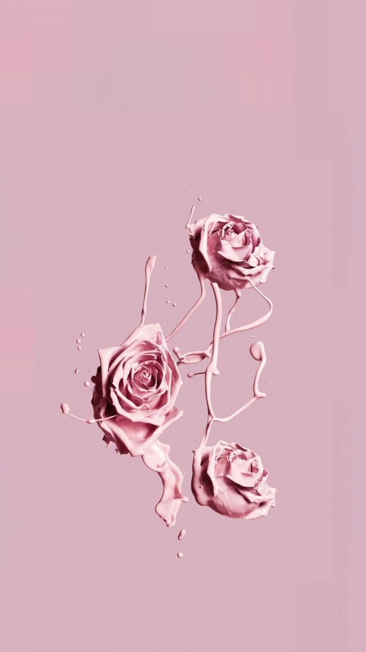 Розовые цветы обои на телефон