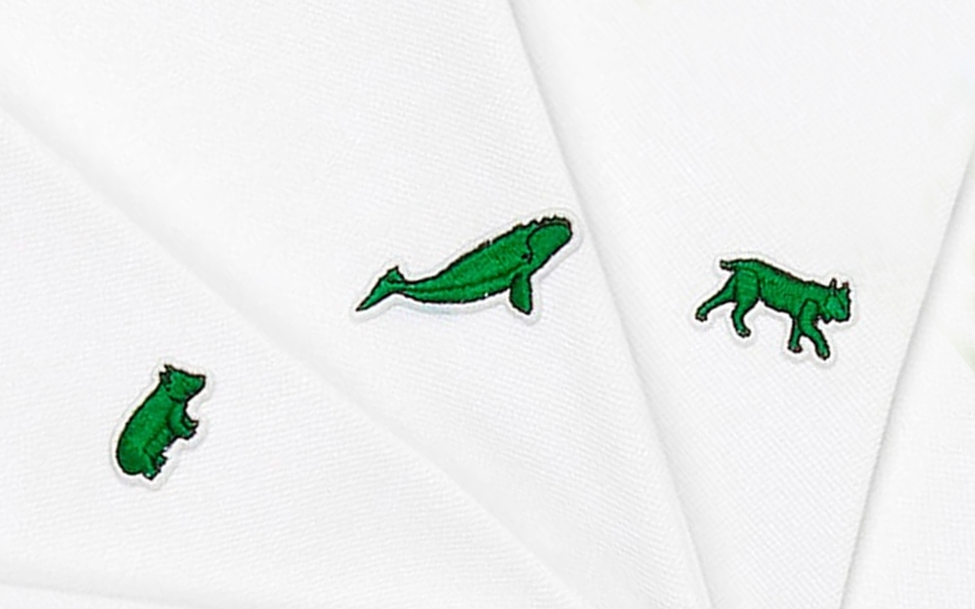 Битва поколений лакоста. Лакост крокодил Локи. Lacoste Alligator. Lacoste много крокодилов. Крокодил лакосте 12.12 реклама.