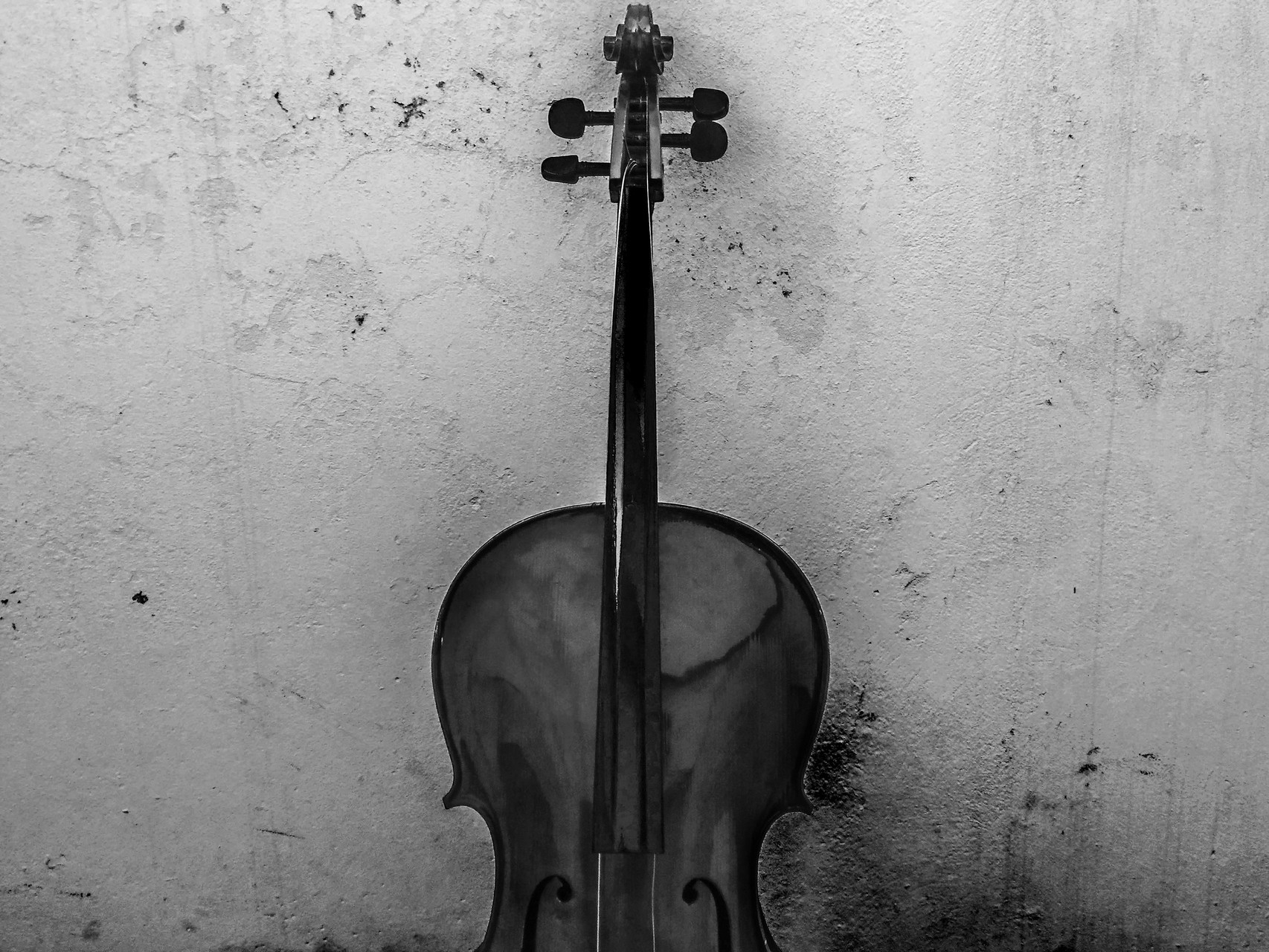 Violin cello. Виолончель. Скрипка обои. Виолончель на черном фоне. Виолончель на темном фоне.