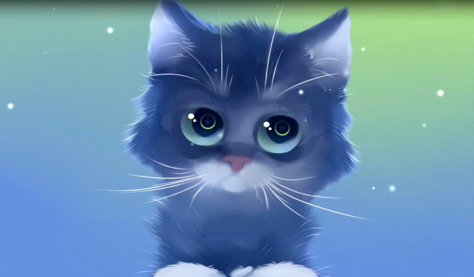 Кошечки живые. Котик на синем фоне. Живые котики. Заставки на планшет котики. Котенок на синем фоне.
