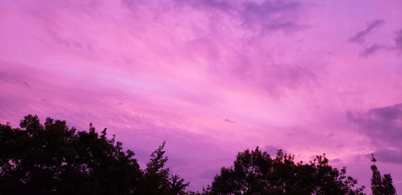 Небо становится розовым. Фиолетовое небо. Розовое небо. Фиолетовое облако. Красивое небо розовое.