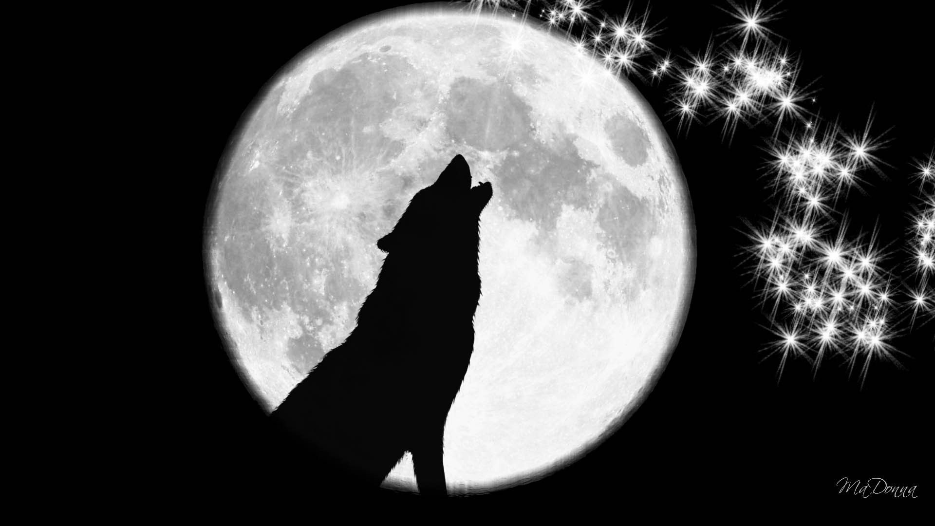 Волки воют на луну песни. Волк и Луна. Силуэт волка воющего на луну. Волк воет на луну. Волк на фоне Луны.