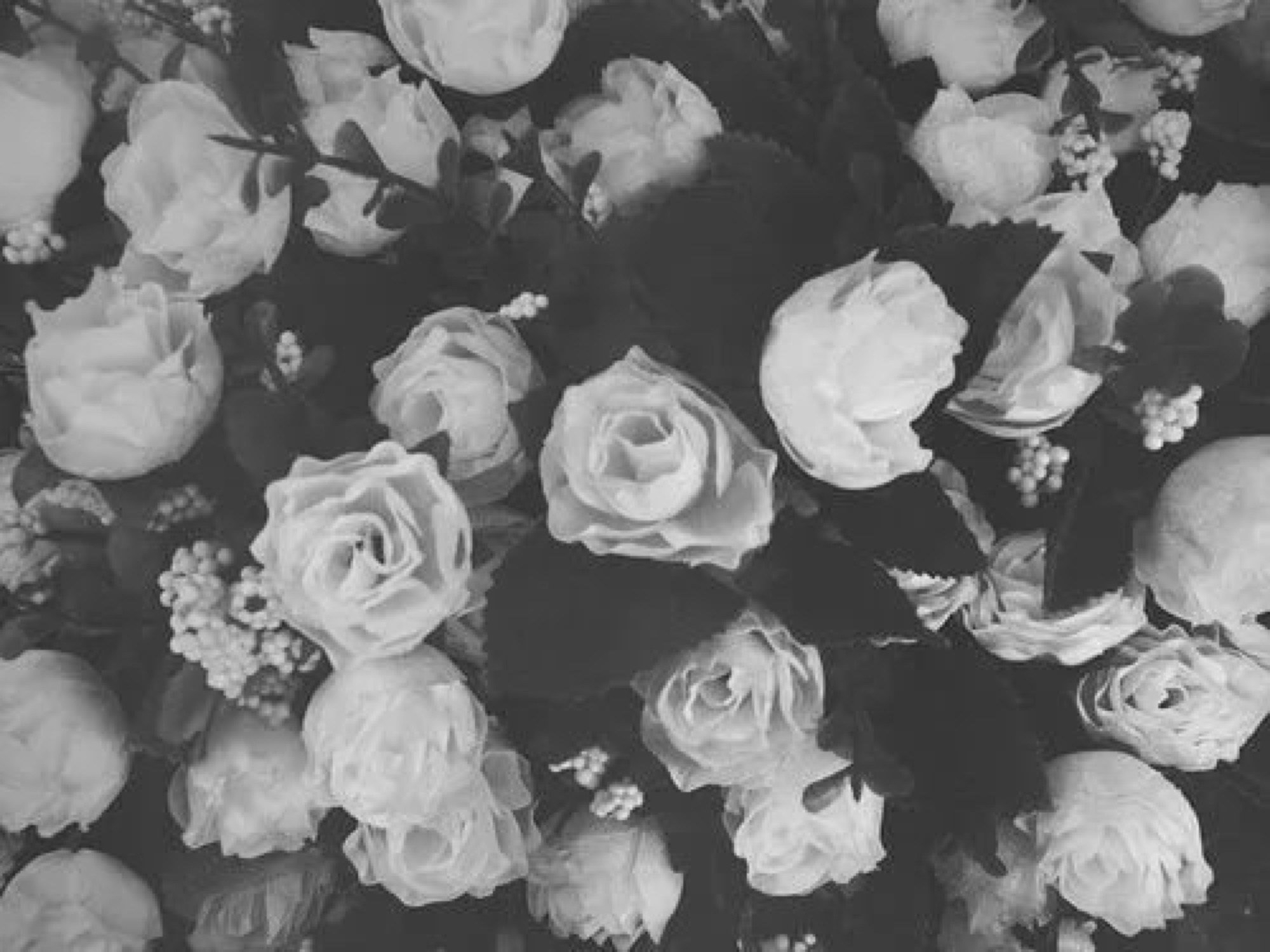 Аск цветов. Фон для твиттера. Шапка для твиттера. Шапка для твиттера цветы. Черно белая Эстетика цветы.