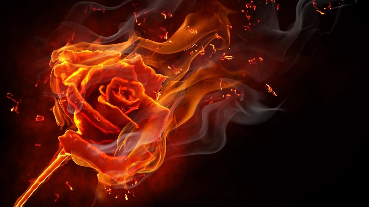 Terraria огненная роза фото 65