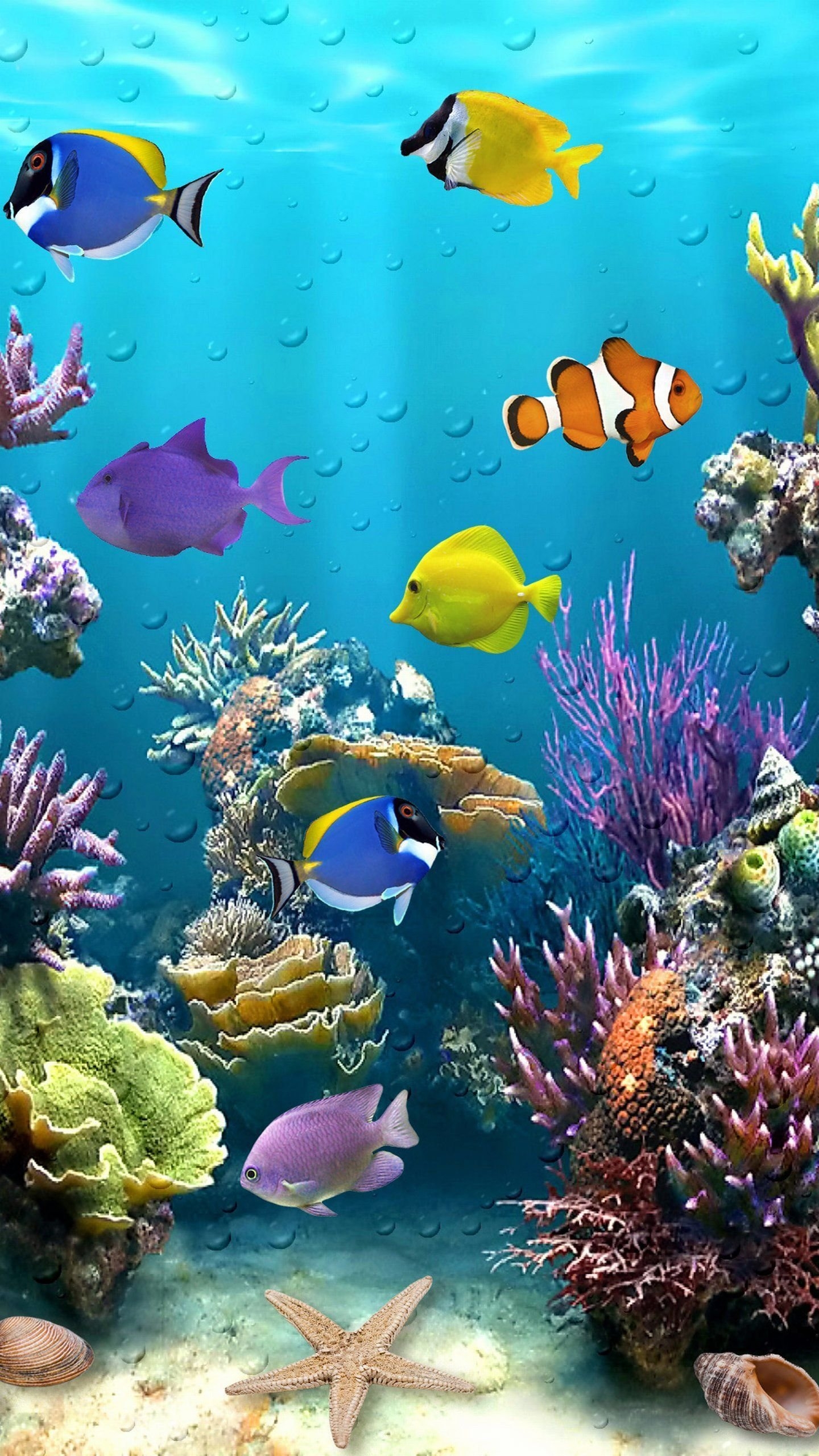 Живое море на телефон. Подводный мир. Яркие морские рыбки. Морское дно. Подводные мир.