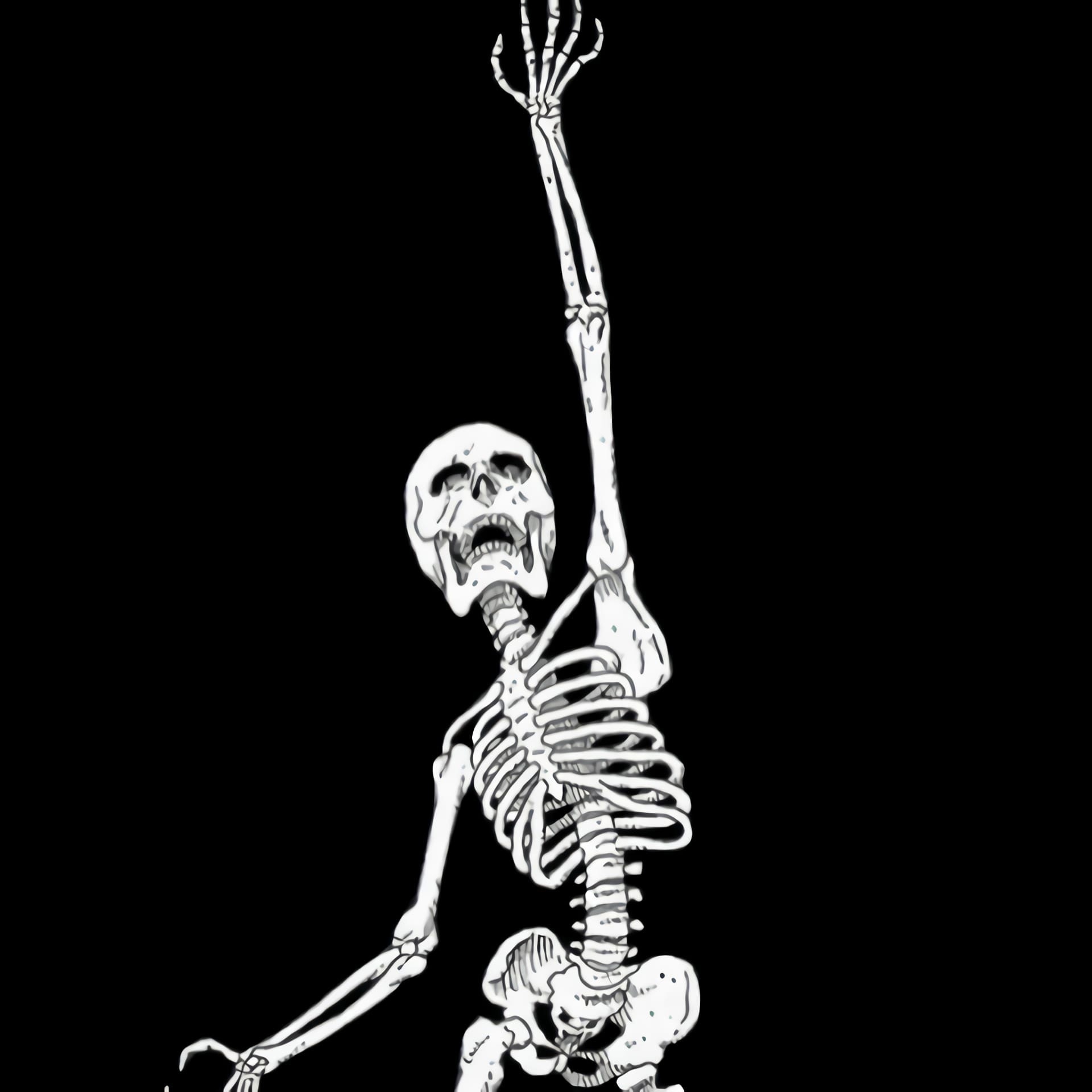 Страдающий скелет. Скелет на черном фоне. Скелет на белом фоне. Скелет рисунок. Скелет чб.