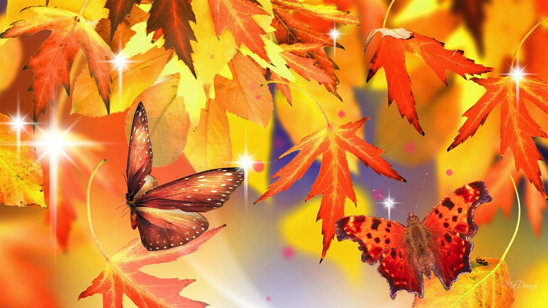 Словно бабочек легкая. Осенний фон. Красивый осенний фон. Бабочка осень. Фон для презентации осень.