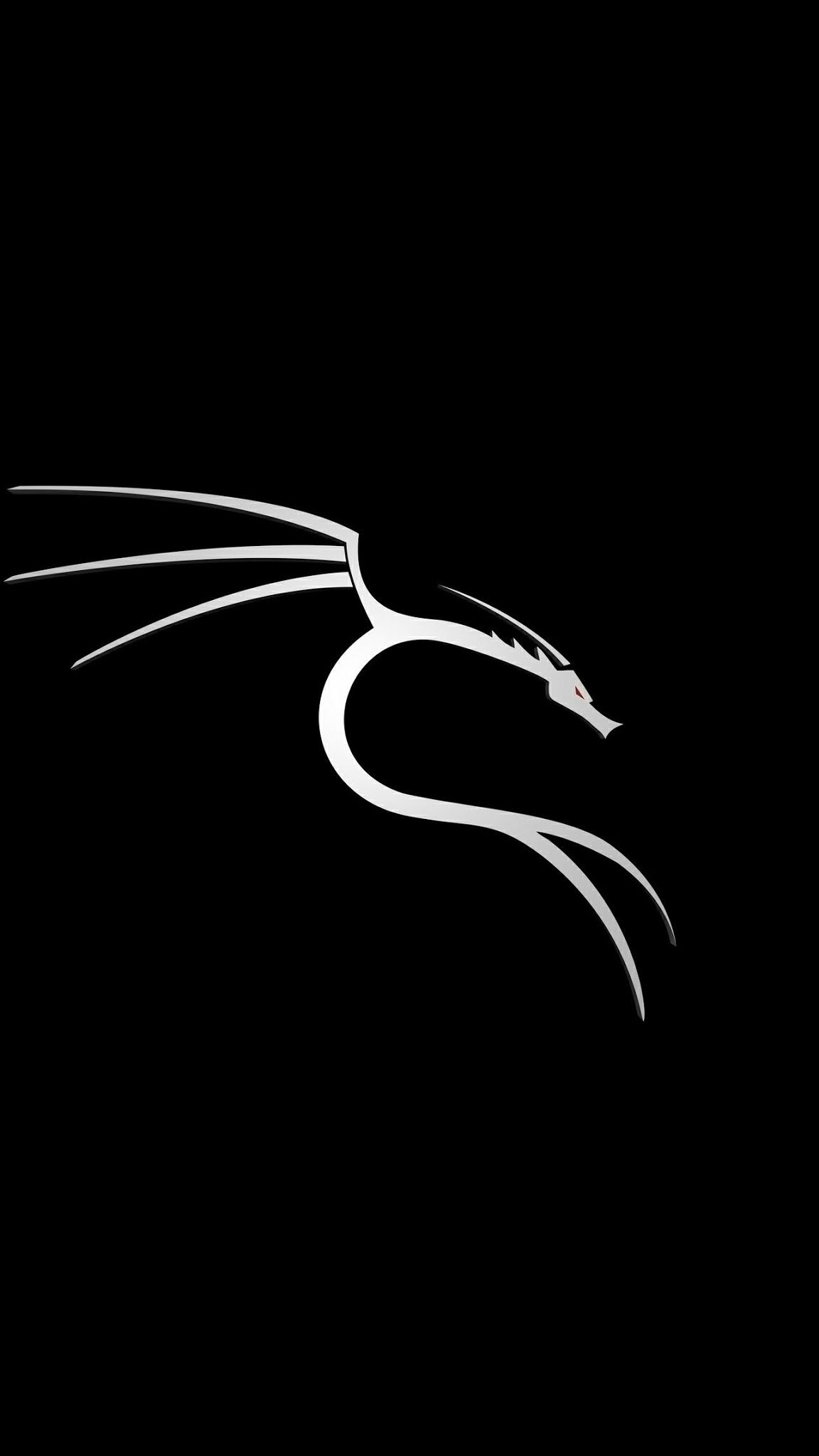 Nethunter. Дракон Кали линукс. Kali Nethunter. Kali Linux Nethunter. Kali Linux лого.