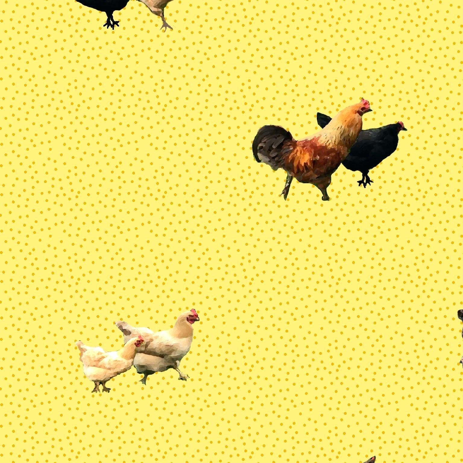 Курами тумблер. Обои на ватсап курицы. Обои с цыпленком Пинтерест. Tumblr Chicken Wallpaper.