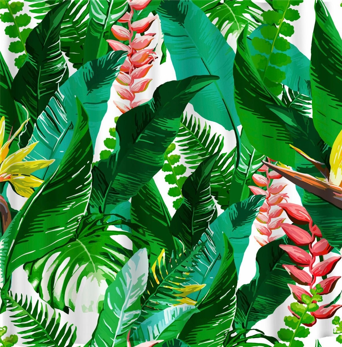 Тропики 2. Джунгли тропики маранта. Алмазная мозаика "тропики". Тропические листья. Красивые тропические листья.