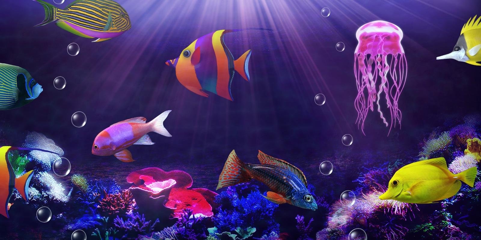 Рыбки аквариум обои. Рыбки плавают. Живые аквариумные рыбки. Заставка рыбки плавают. Подводный мир.