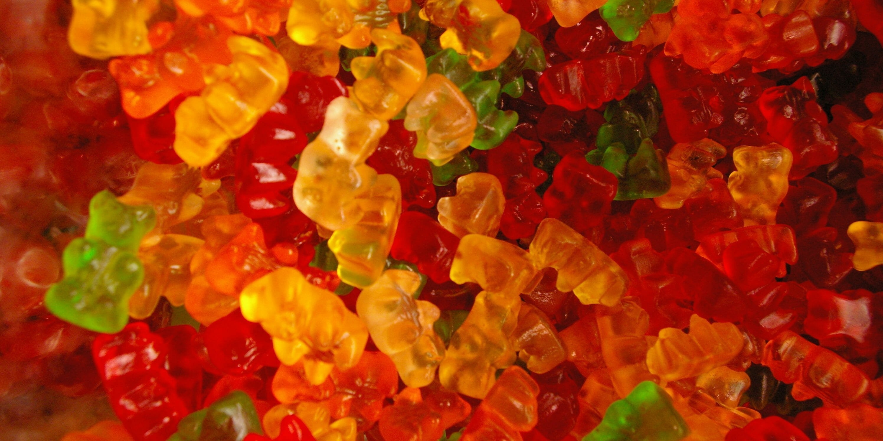 Красивые мишки Gummy на обои