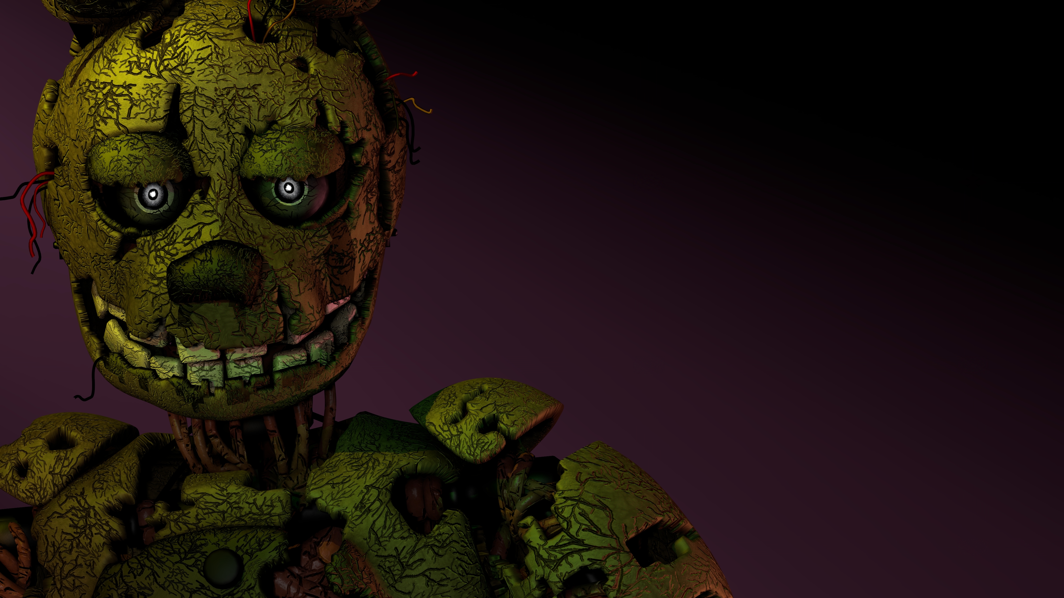 Pic of spring trap