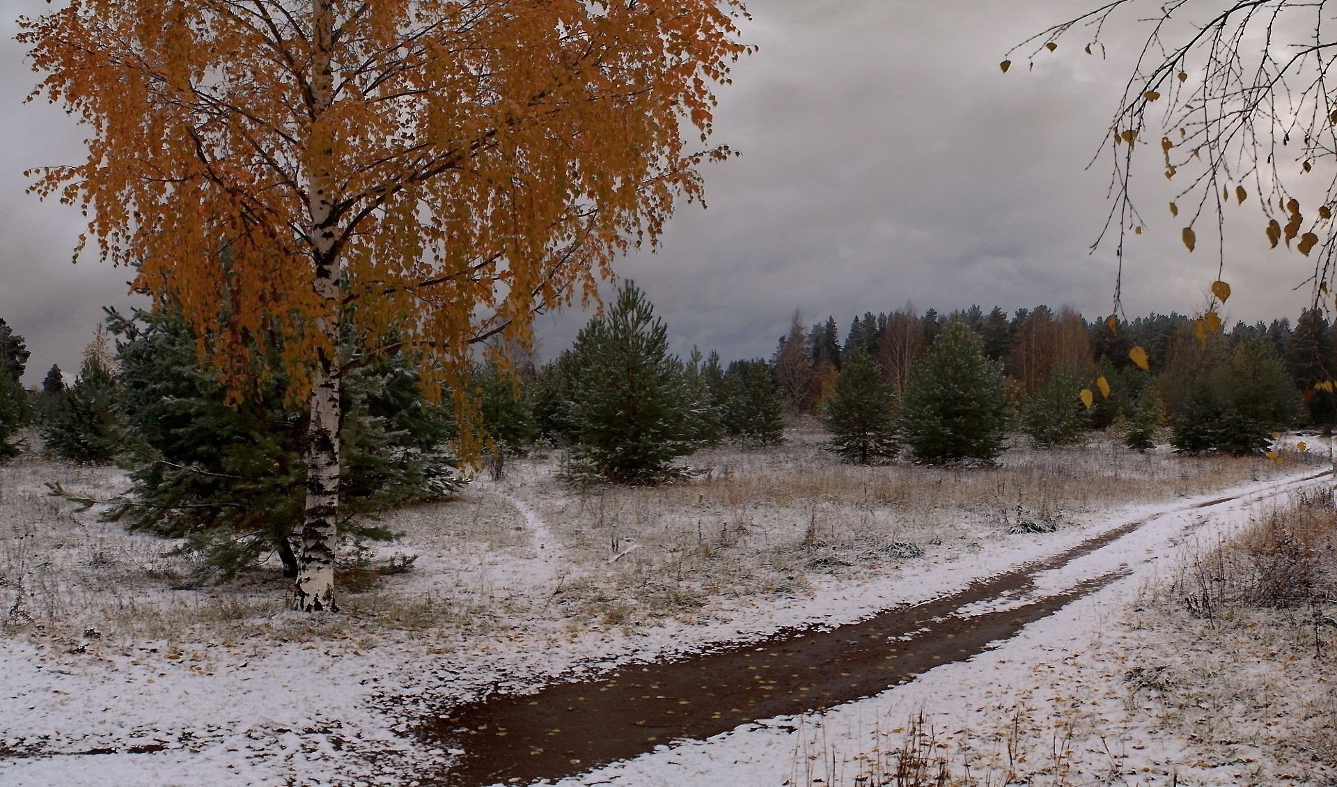 Поздней осени какое число. Ранняя Золотая поздняя осень. Снежная осень. Ранняя зима. Первый снег осенью.