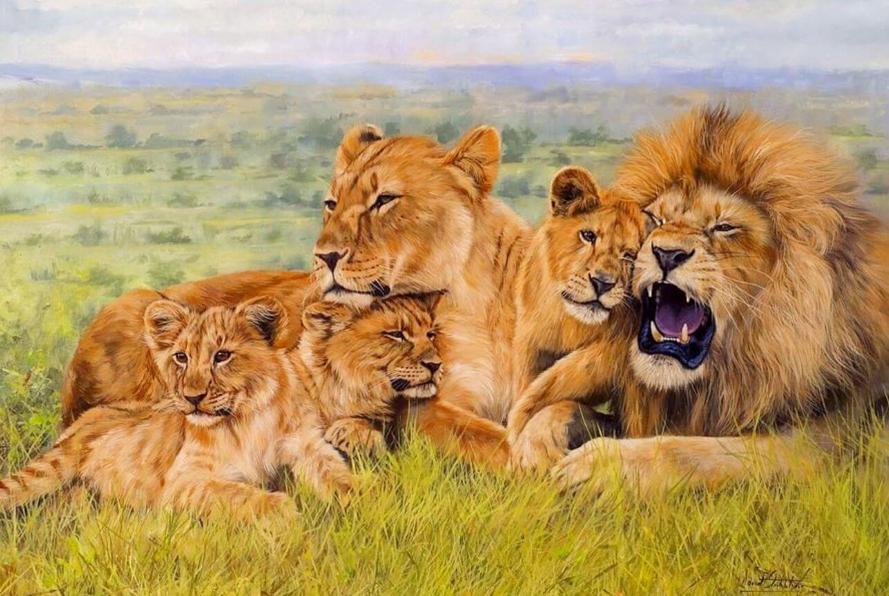 Семья львов обои - 65 фото