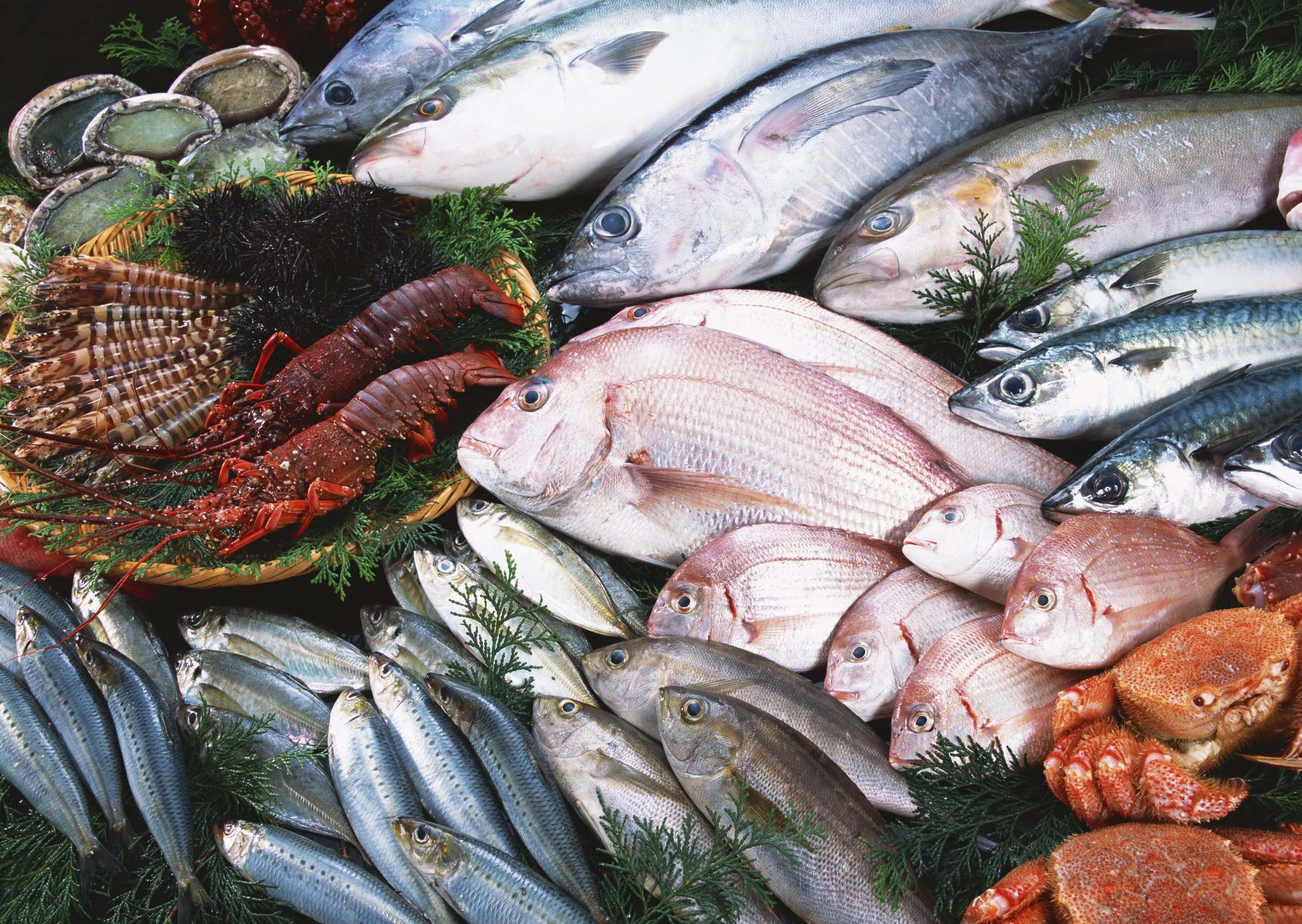 Купить свежую речную. Свежая рыба и морепродукты. Рыба в ассортименте. Рыба и Рыбная продукция ассортимент. Разные рыбы.