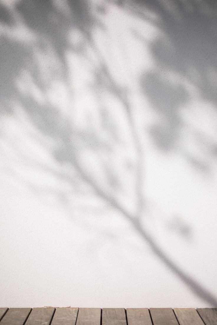 Белый фон с тенью - 56 фото