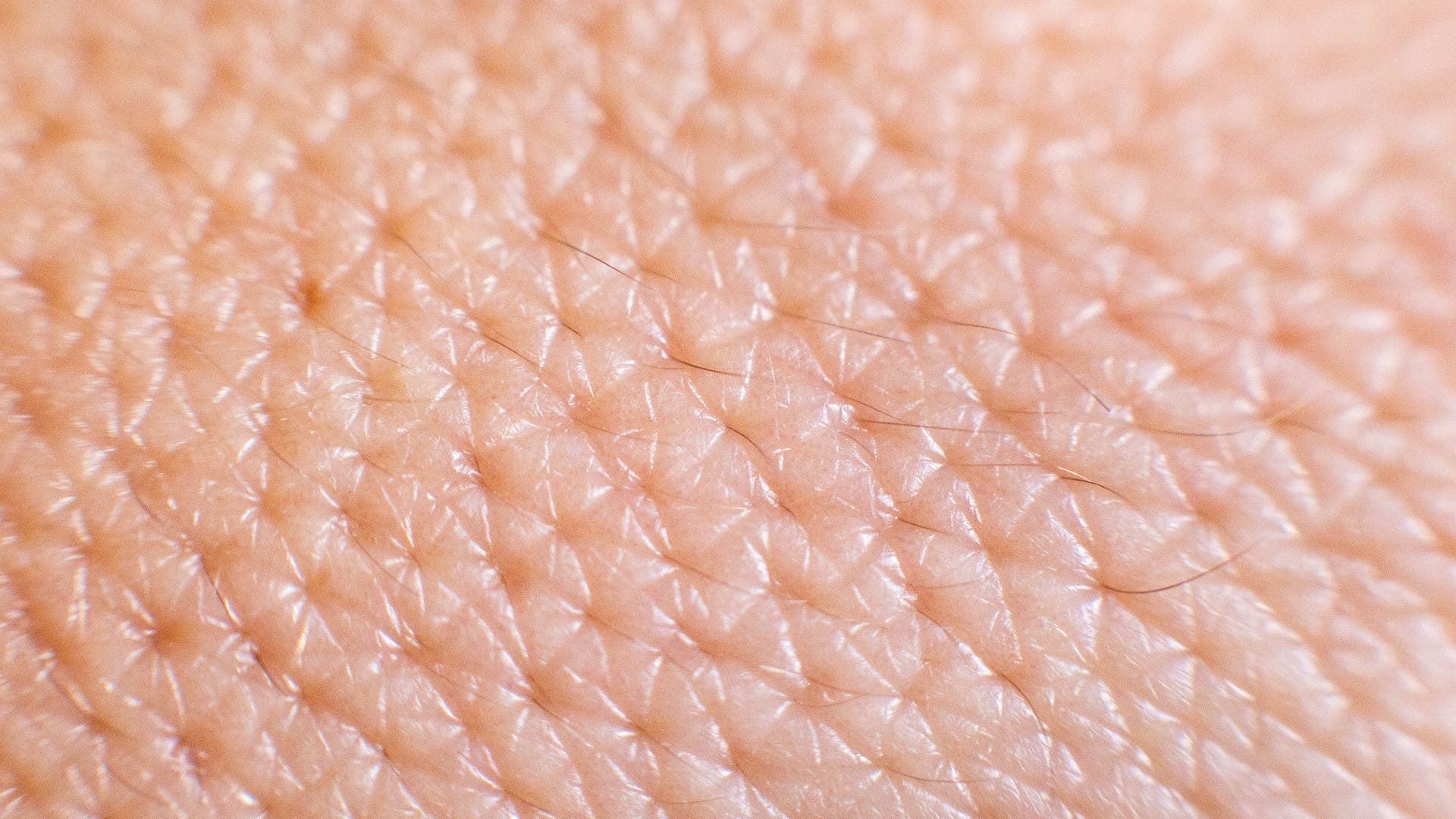 Up close 3. Текстура кожи. Текстура человеческой кожи.