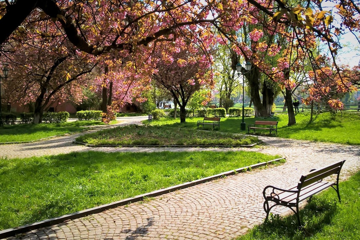 Park. Весенний парк. Красивый парк. Весна в парке. Парк весной.