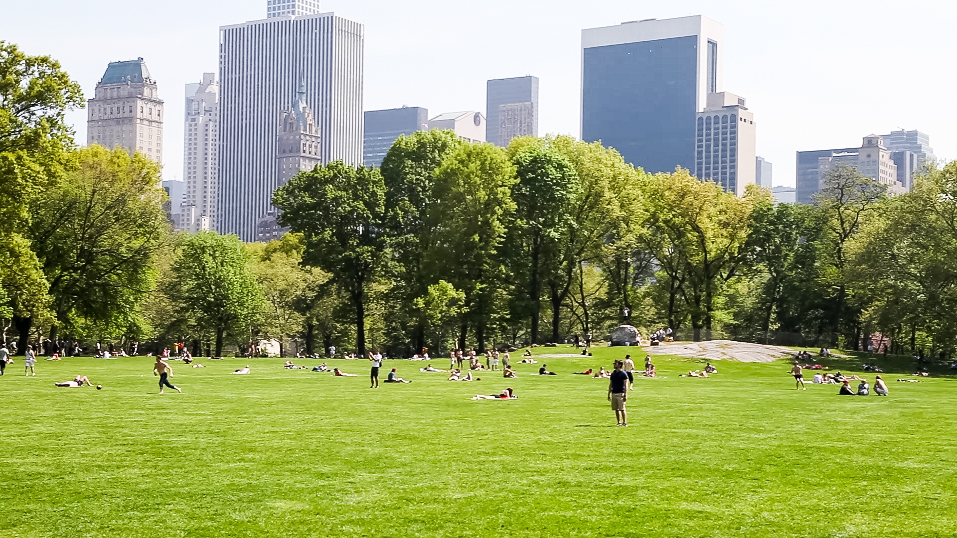 Summer in new york. Централ парк Нью-Йорк. Централ парк Нью-Йорка газон. Грин парк Нью Йорк. Централ парк Нью-Йорк деревья.