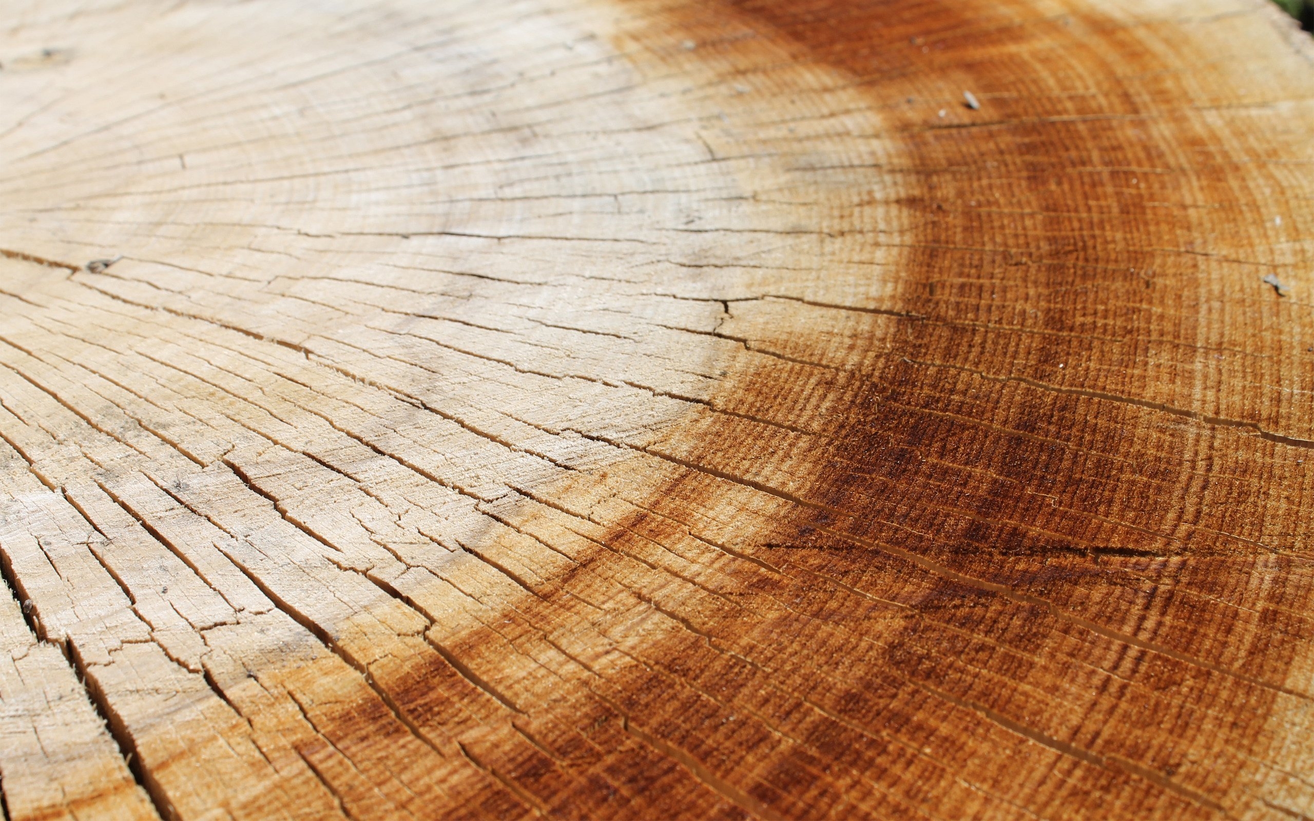 Внутренняя поверхность стола. Красивая текстура дерева. Фон дерево. Фактура дерева. Деревянная поверхность стола.
