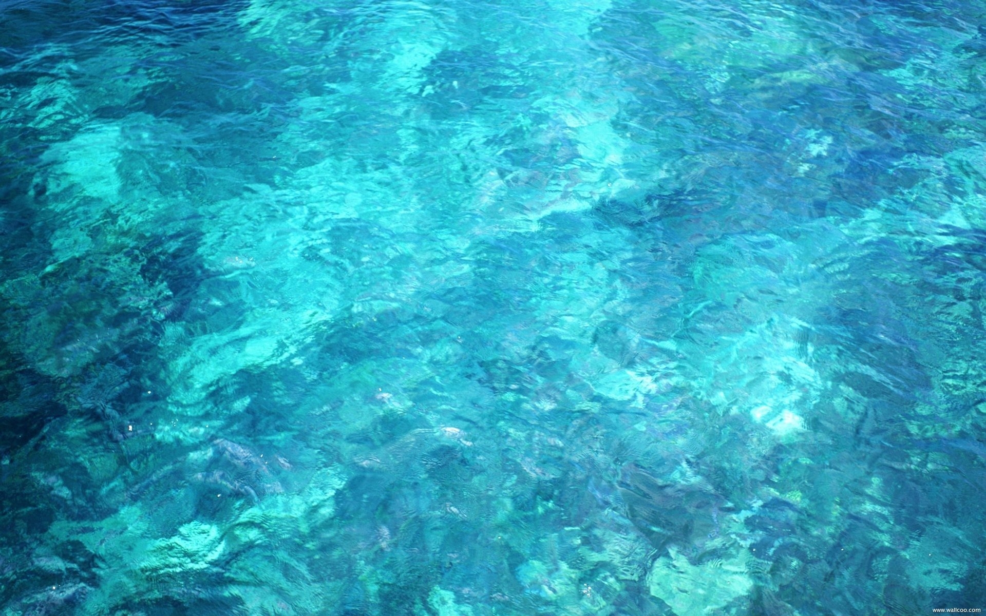Материалы в морской воде. Цвет морской воды. Цвет морской волны. Бирюзовый цвет. Вода сверху.