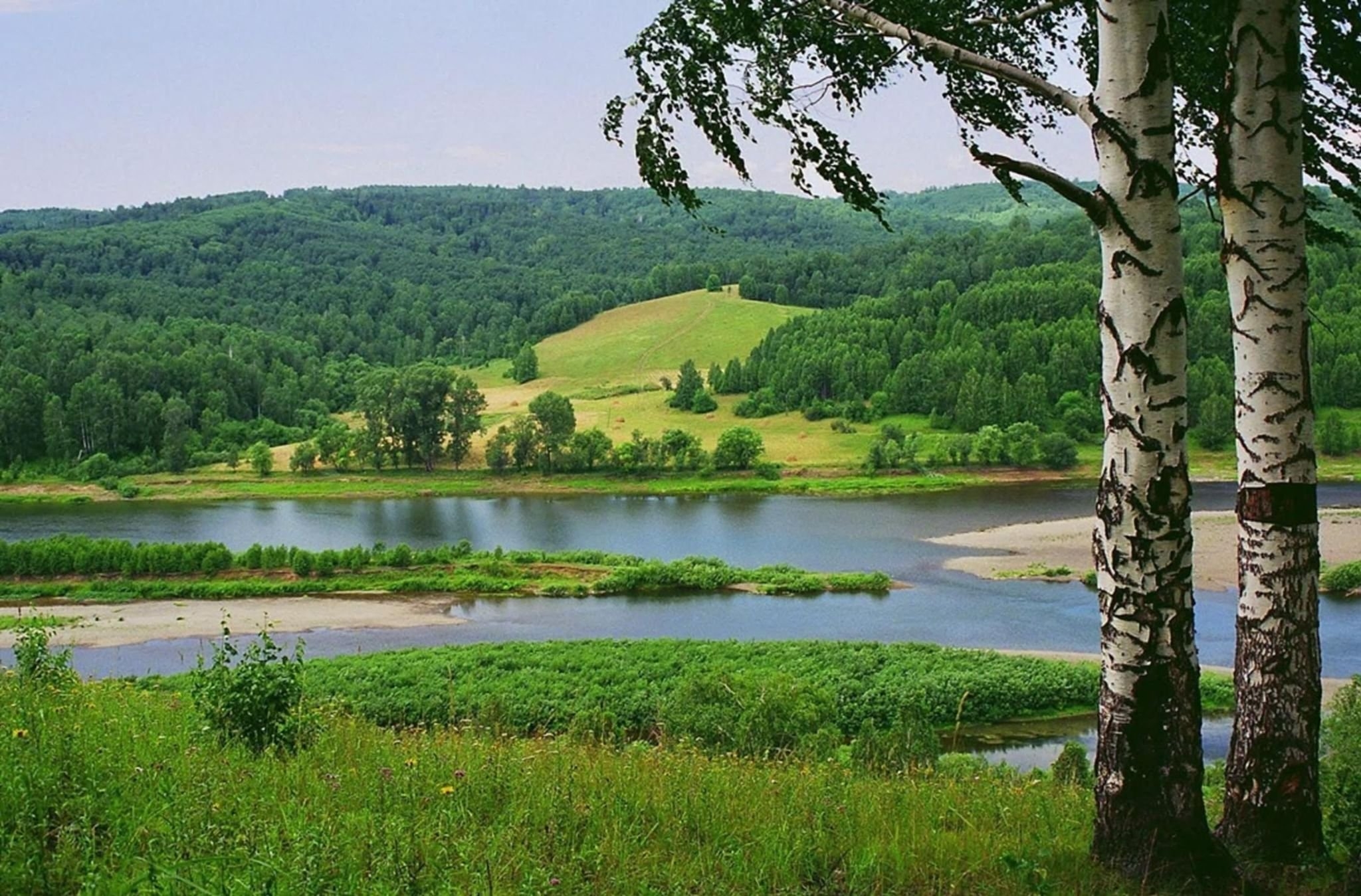 Любовь к природе родине. Родина природа. Природа родного края. Природа нашей Родины. Россия - моя Родина.