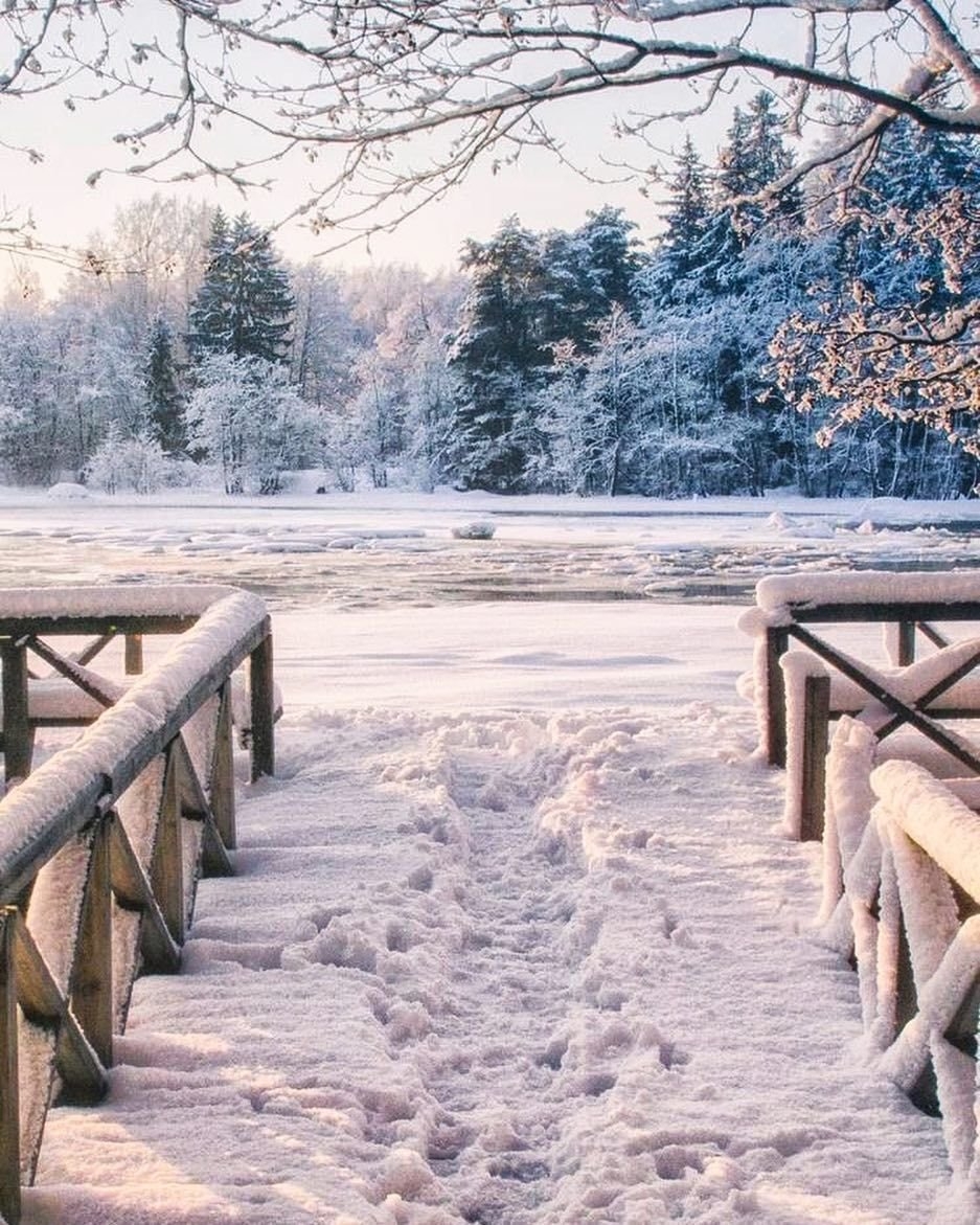 Winter pictures. Фон зима. Красивый фон зима. Зимний задний фон. Задний фон зима для фотошопа.