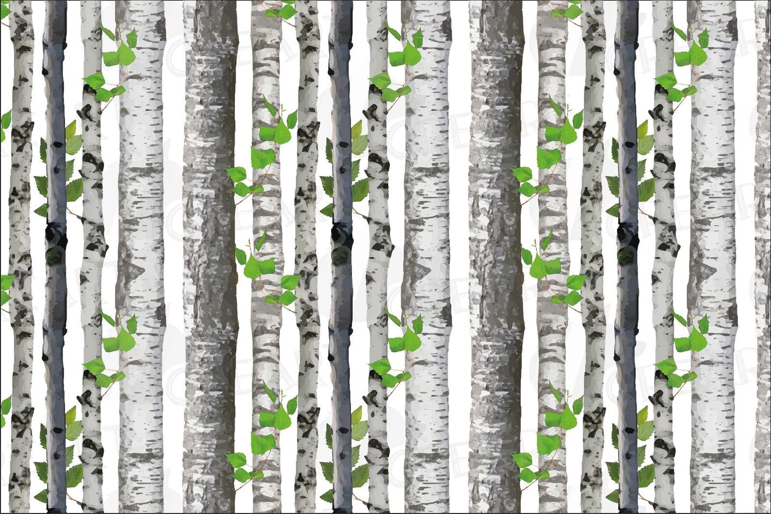 Birch-Tree вектор