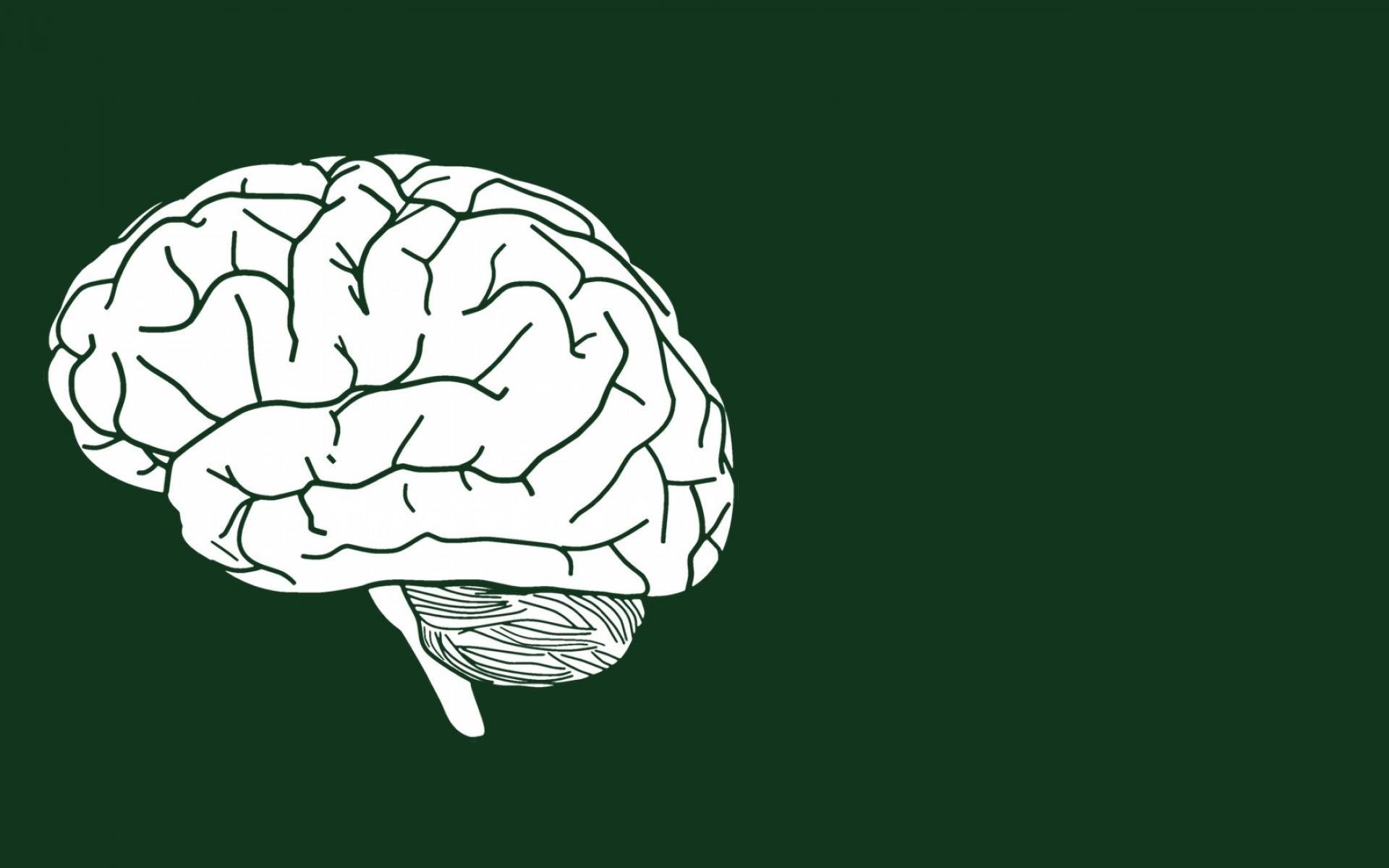Clean brain. Минималистичный мозг. Мозги Минимализм. Мозг картинка.