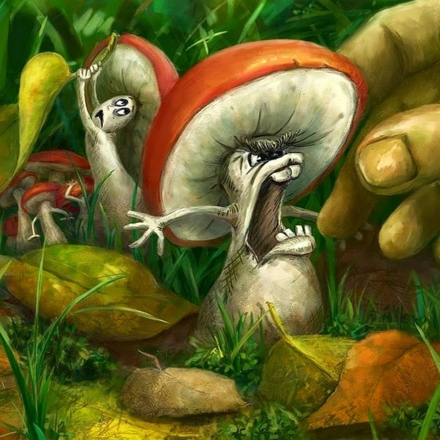Живые грибы: