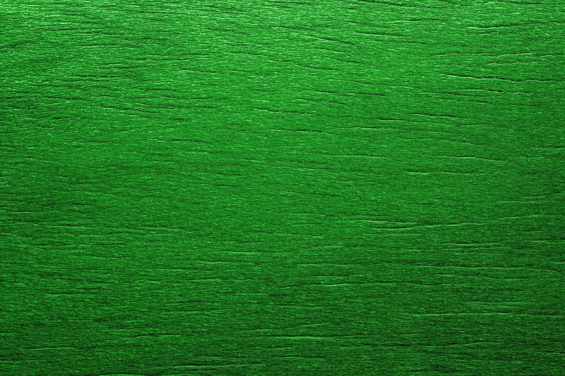 Зел. Зеленое дерево фактура. Зеленая древесина текстура. Зеленая деревянная поверхность. Зеленый цвет фактурный.