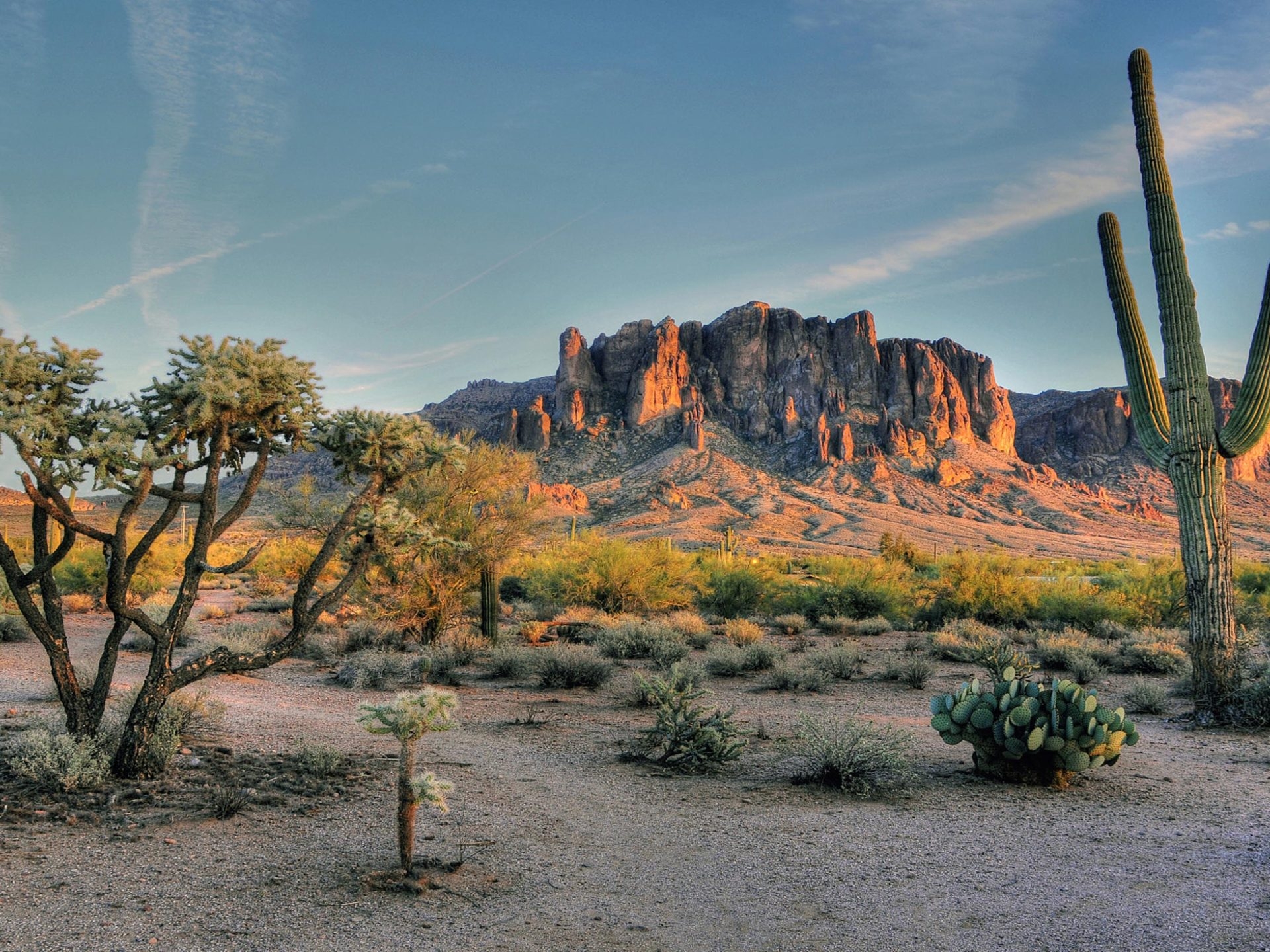 Arizona desert. Пустыня Аризона. Город Юма штат Аризона. Пустыня Аризона кактуисыарты. Superstition Mountains Arizona.