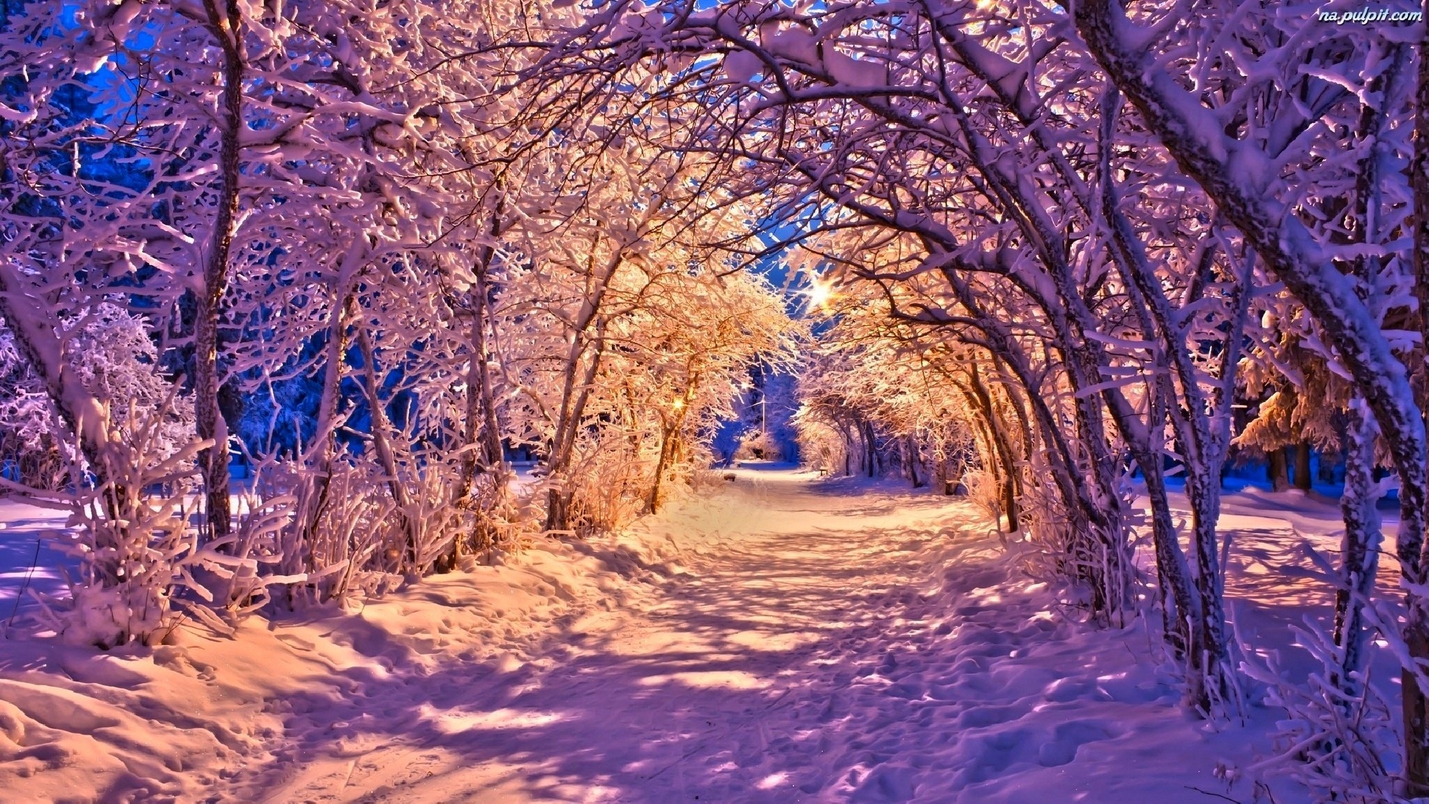 Заставка на рабочий стол зима природа - 50 фото