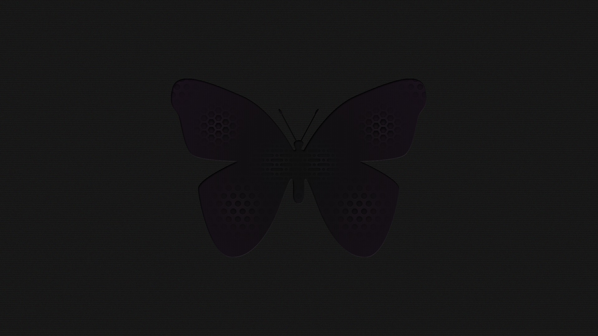 Черная бабочка 2021