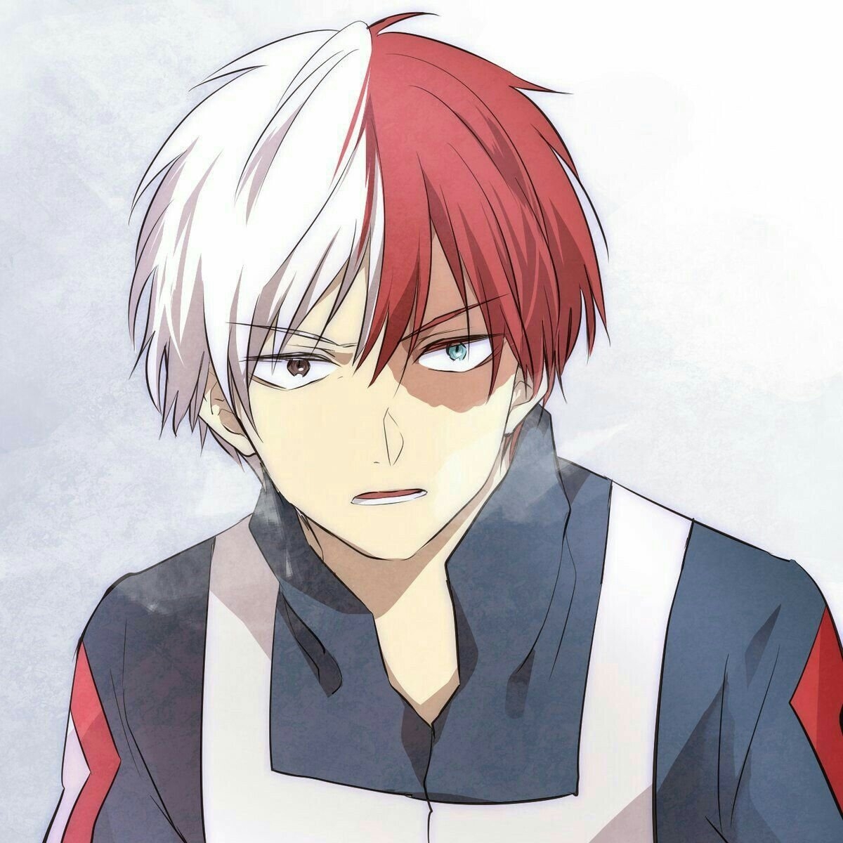 Todoroki reader. Тодороки шото. Сёто Тодороки. Тодороки шото аниме. Мга шото Тодороки.