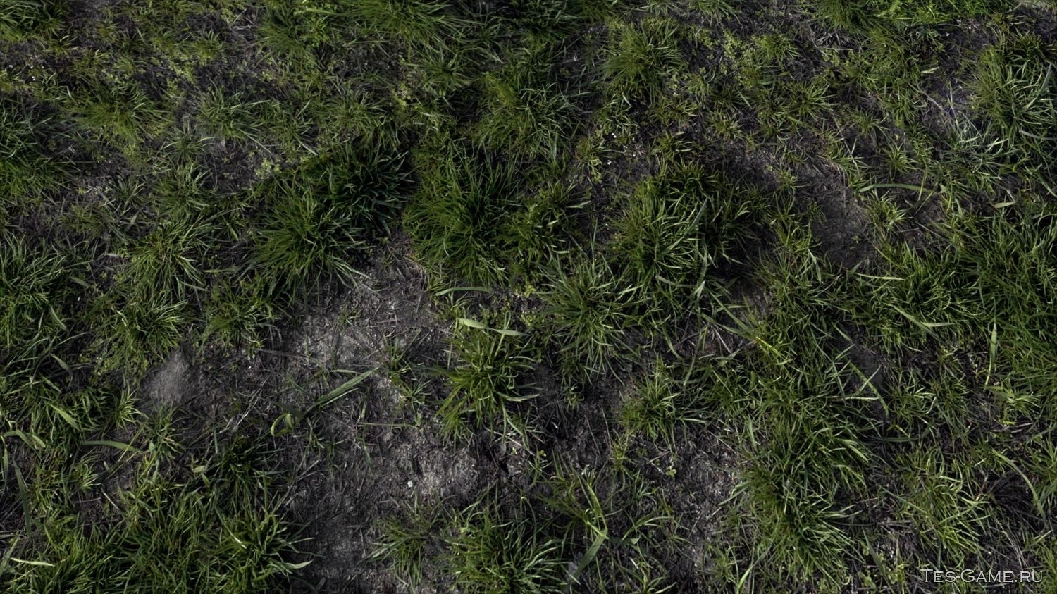 Текстура земли с травой - 43 фото