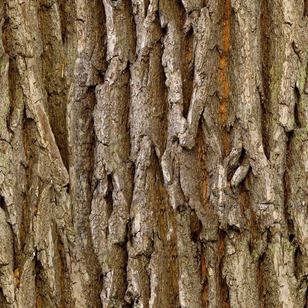 Текстура коры дерева бесшовная - 48 фото