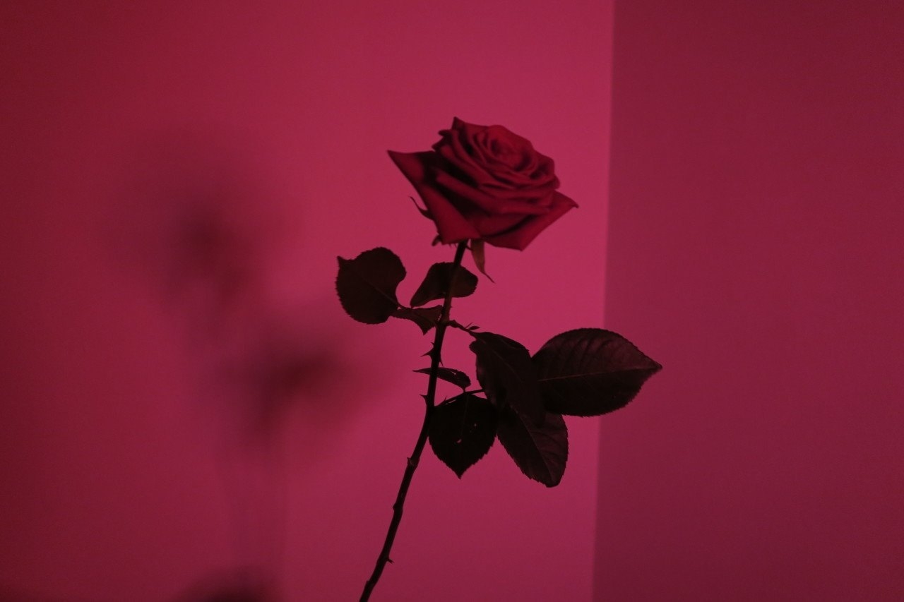 Эстетика розового и черного цвета